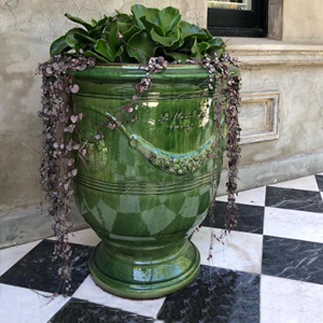 Large Green Classic French Urn In A Glaze Finish With A Low Large Leaf Green Plant and Overhanging Smaller Leaf Purple Plant