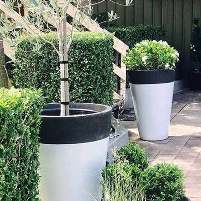 Large Dark Grey Contemporary Mazagran French Pot With A Natural Matt Finish And White Glazed Skirt With A Plant On Pavers from Anduze France