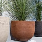 Contemporary French Bowls With Natural Matt Textured Finish