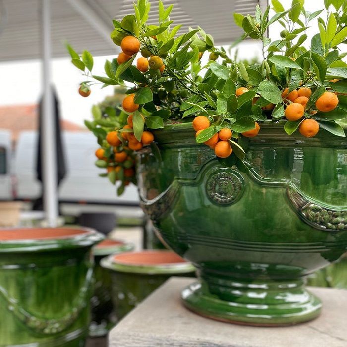 French Citrus Pot - Cup Style from Anduze France