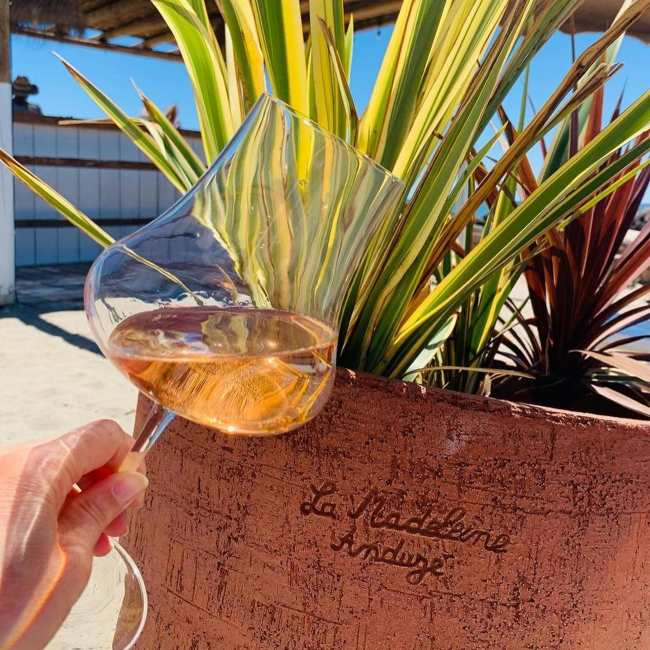 Cheers to Contemporary French Pots from Anduze France